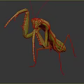 Modern mantis knife-winged insect 3d model