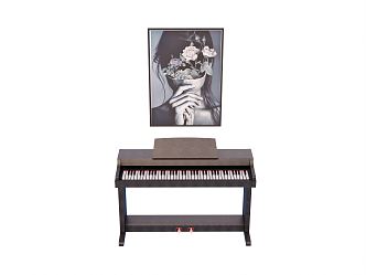 Modern Piano Decorative Painting 3d model