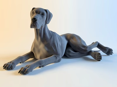 Gray Reptile Lying on White Background in Studio Lighting Setup 3d model