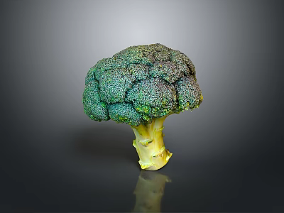 Fresh Broccoli With Vibrant Green Florets And Yellow Stem Healthy Vegetable 3d model