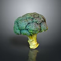 Fresh Broccoli With Vibrant Green Florets And Yellow Stem Healthy Vegetable