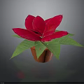 Red Poinsettia Potted Plant With Bright Green Leaves And Orange Decorative Pot