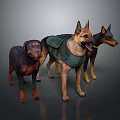 Three Dogs of Various Breeds With One Wearing Green Vest in 3D Render
