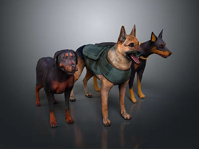 Three Dogs of Various Breeds With One Wearing Green Vest in 3D Render 3d model