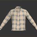 Shirt Shirt Long Sleeve Shirt Flower Shirt Plaid Shirt Thin Shirt Spring and Summer Clothing Summer Clothing Spring Clothing 3d model