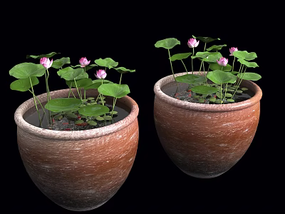 Terracotta Pots With Pink Lotus Flowers And Green Lily Pads On Black Background 3d model