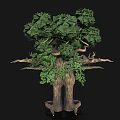 Mystical Tree Creature Character With Humanoid Form Green Foliage And Extended Arms