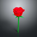 Vibrant Red Rose Plant with Green Stem and Fresh Leaves on Gray Background