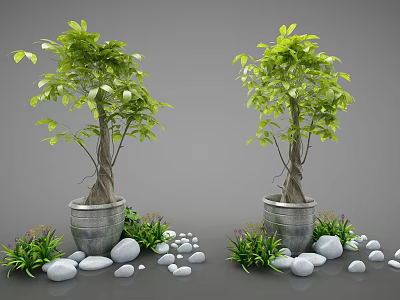 Bonsai Trees In Decorative Metal Pots With Small Stones And Grass 3d model