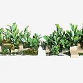 Diverse Green Plants And Flowers In Square Planters For Decorative Landscaping