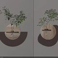 Modern Wooden Wall Decor With Circular Semicircular Design And Green Plants 3d model