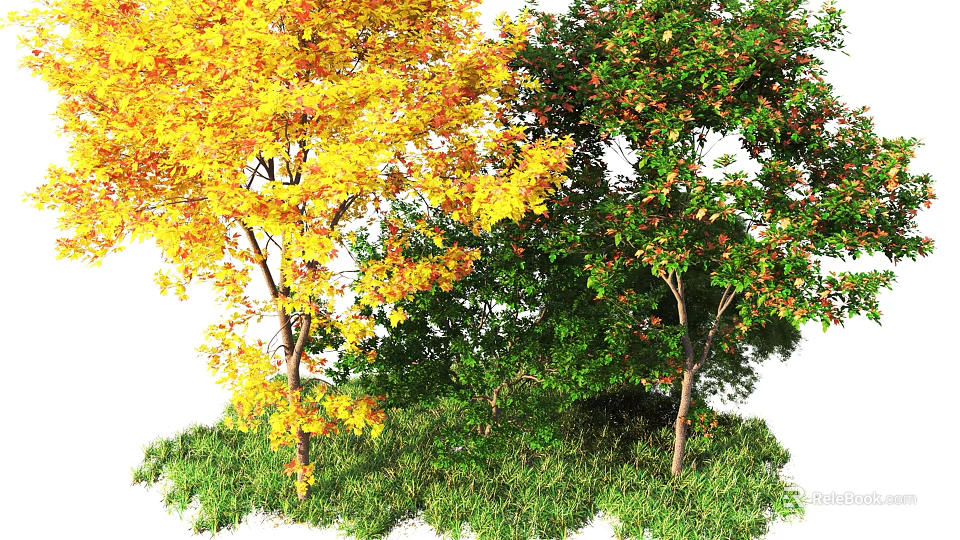 Two Trees With Autumn Yellow Leaves And Green Foliage On Grass 3d model 
