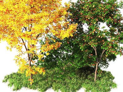 Two Trees With Autumn Yellow Leaves And Green Foliage On Grass 3d model