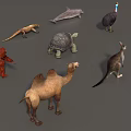 Animal Mammal Low Model Animal Low Face Number Animal Game Animal Simple Model Realistic Animal Camel Kangaroo Ostrich Turtle Lizard 3d model
