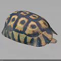 Turtle With Vibrant Blue And Yellow Hexagonal Patterned Shell On Black Background