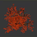Bonsai Tree With Red Flowers And Brown Trunk Multiple Branches On White Background