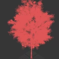 Lush Green Leafy Arbor With Plentiful Red Fruits And Vibrant Foliage