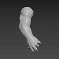 Fantasy Creature Character 3D Model Muscular Arm With Textured Skin And Clawed Fingers