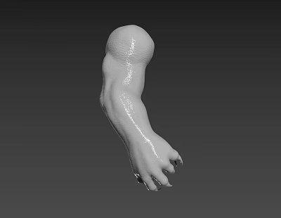 Fantasy Creature Character 3D Model Muscular Arm With Textured Skin And Clawed Fingers 3d model