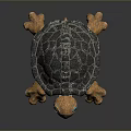 Detailed Colorful Reptile Turtle With Gray Shell Orange Legs And Blue Eyes