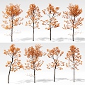 Landscape Tree Ginkgo Tree Poplar Tree Arbor Garden Landscape Tree 3d model