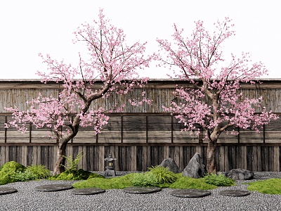 Peach Tree Old Pile Peach Blossom Tree Landscape Tree Cherry Blossom Tree Courtyard Landscape Sitches Ting Step Moss Plant Landscaping Stone Enclosure model