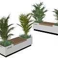 Stylish Rectangular Potted Plants With Wooden Bench And Green Palm Like Foliage