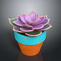 Rosette Shaped Succulent Plant With Pinkish Purple Leaves In Blue And Orange Pot