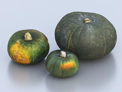 Three Green Pumpkins With Different Sizes And Natural Color Variations On Gray Surface 3d model