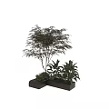 Rectangular Tree Planter with Lush Foliage Tree and Various Green Plants
