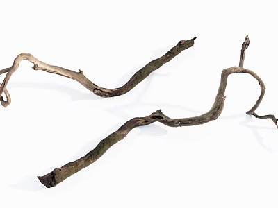 Curved Textured Wood Branches With Rustic Stone Accents For Natural Decoration 3d model