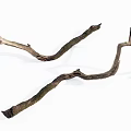 Curved Textured Wood Branches With Rustic Stone Accents For Natural Decoration