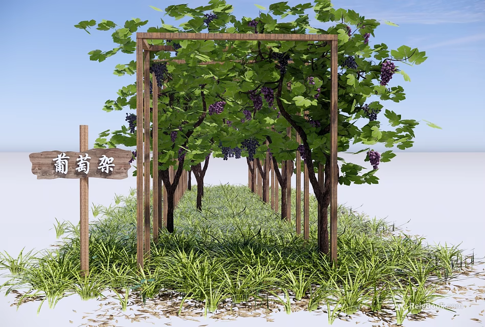 Wooden Pergola With Grape Vines Green Leaves And Purple Grapes In Grass 3d model 
