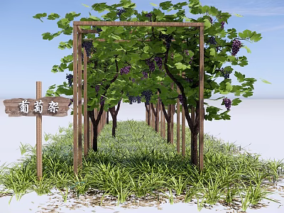 Wooden Pergola With Grape Vines Green Leaves And Purple Grapes In Grass 3d model