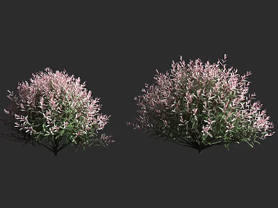 Lush Green Leaf Bushes With Pink Flowers For Garden Landscape Design 3d model