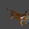 Playful Tiger Cub Running Dynamic 3D Model Black Background 3d model