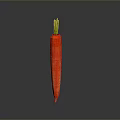 Fresh Healthy Red Carrot with Green Leafy Top on a Gray Background