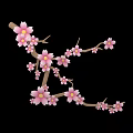 Beautiful Blooming Cherry Blossom Tree With Pink Flowers On Delicate Branches