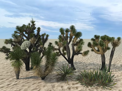 Desert Environment Featuring Joshua Trees And Various Native Plants 3d model