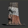 Decorative Tree Stump With White Red Sections And Small Mushrooms On Dirt Base