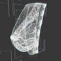 Chest Organs Anatomical Structure Showing Muscles Blood Vessels And Tissue Layers