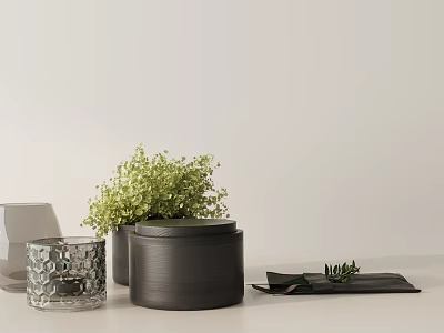Modern Tabletop Decorative Ornament Set Including Ceramic Box Glass Candle Holder and Green Plant 3d model