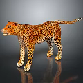 Realistic Standing Leopard With Spotted Fur On Dark Background And Reflection 3d model