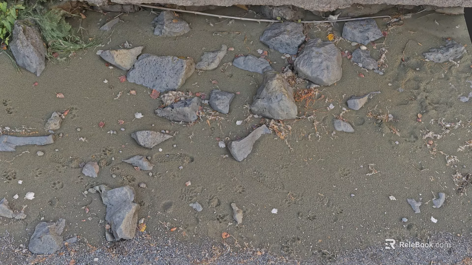 Natural Microtopography With Scattered Stones Pebbles And Earthy Surface Texture 3d model 