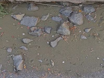 Natural Microtopography With Scattered Stones Pebbles And Earthy Surface Texture 3d model