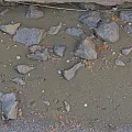 Natural Microtopography With Scattered Stones Pebbles And Earthy Surface Texture