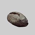 Freshly Baked Crusty Brown Bread With Sesame Seeds On Rustic Wooden Table