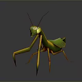 Green Praying Mantis With Yellow Legs And Green Wings On Dark Background