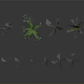 Various Green Plants Collection With Different Shapes And Sizes Displayed On Gray Background