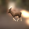 Brown Moose Game Movie Character 3D Model with Large Antlers